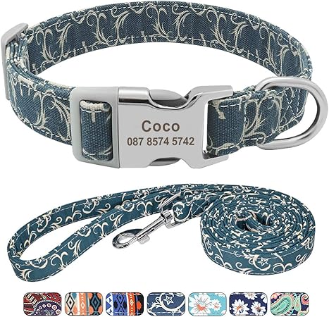large dog collars and leads