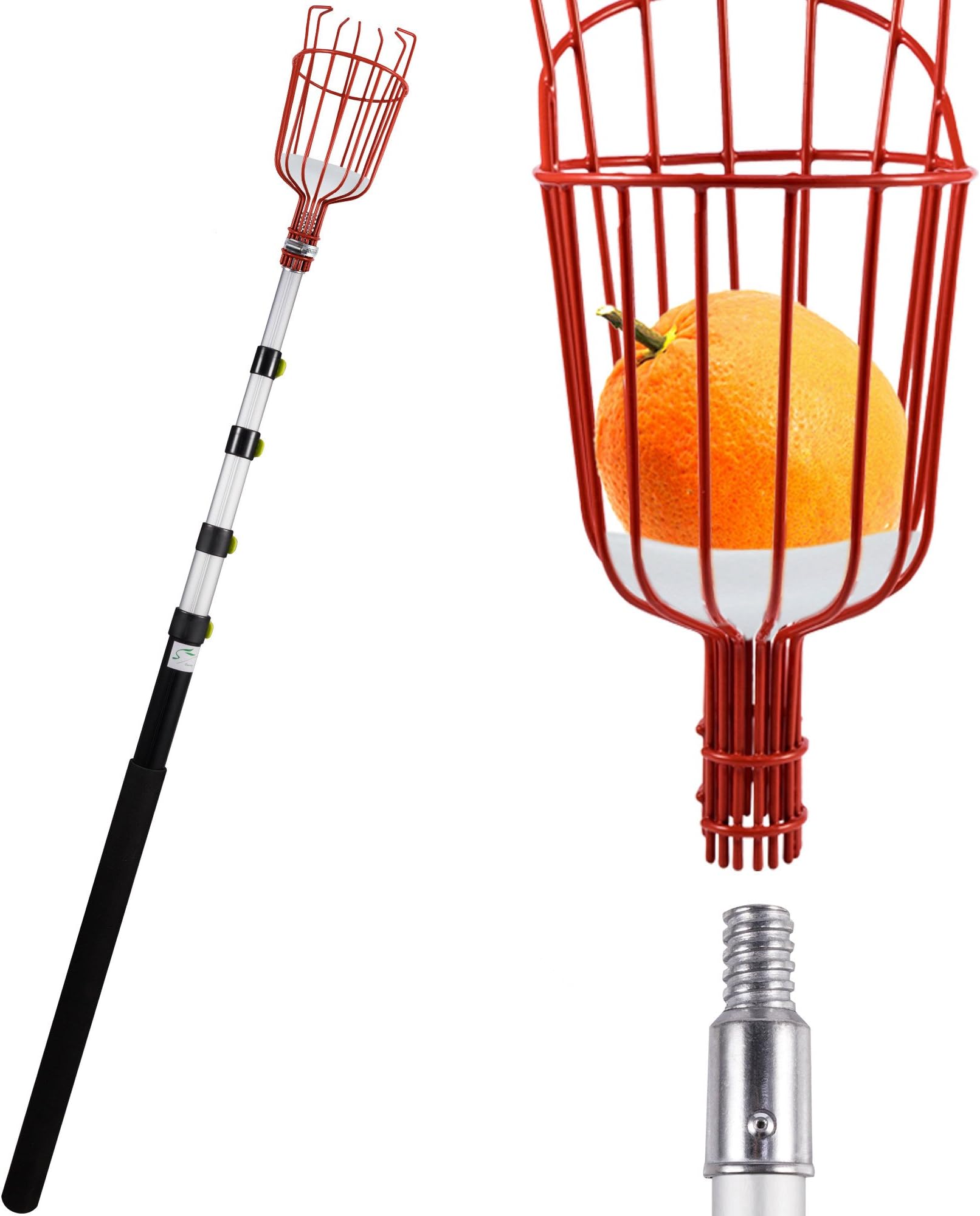 Lopunny Fruit Picker 13-foot Lightweight Telescoping Aluminum Pole with Bruise Free Basket for Apple Pear Peach harvesting