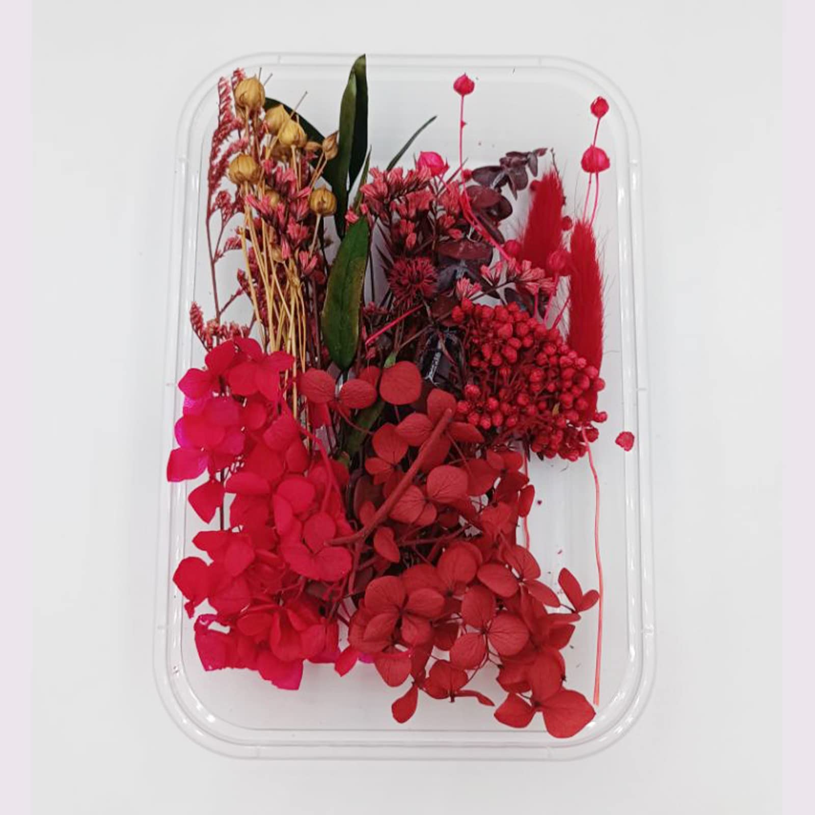 YiYFiT Natural Dried Flowers - 8 Kinds Real DIY Crafts Materials for Resin Crafts, Candle Making, Card Wax Seals (Red with Box)