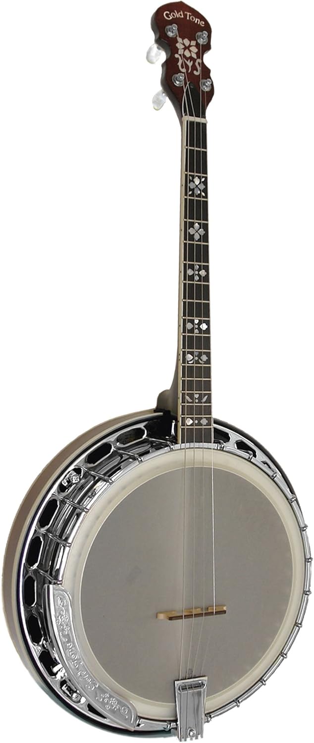 Banjo Tenor Irlandais Gold Tone IT250F (+ étui) Amazon.fr