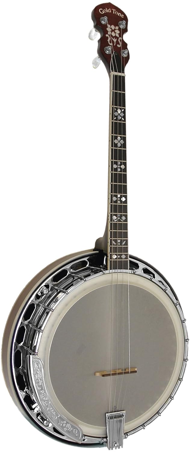 Goldtone It250F Irish Tenor Banjo Amazon.co.uk Musical Instruments