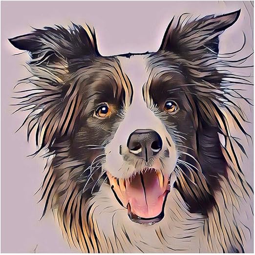 Paint by Numbers for Adults, DIY Painting Paint by Numbers Kits on Canvas Australian