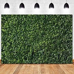 Nature Spring 3D Green Leaves Theme Photo