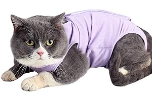 kzrfojy Cat Surgery Recovery Suit Cat Onesie for Cats After Surgery Spay Surgical Abdominal Wound Skin Diseases E-Collar Alternative Wear (Pruple-M)