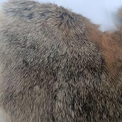 4pcs Assorted Bulk Craft Grade Natural Rabbit Skins