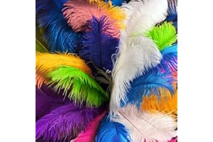 XKTEI 10Pcs Bulk Natural Colorful Ostrich Feathers,8-10 inch (20-25cm) Beautiful Long Feather for Crafts,Wedding Centerpieces Party Home Decoration,Dress and Christmas DIY (Colorful, 8-10in)