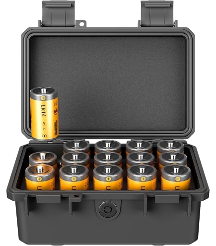Boîtier De Rangement Piles AA - Étui 10 Piles - Organisateur Compact Anti-Court-Circuit