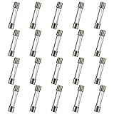 HUAREW T7AL250V 20 Pcs 6x30mm Slow Blow Glass Fuse