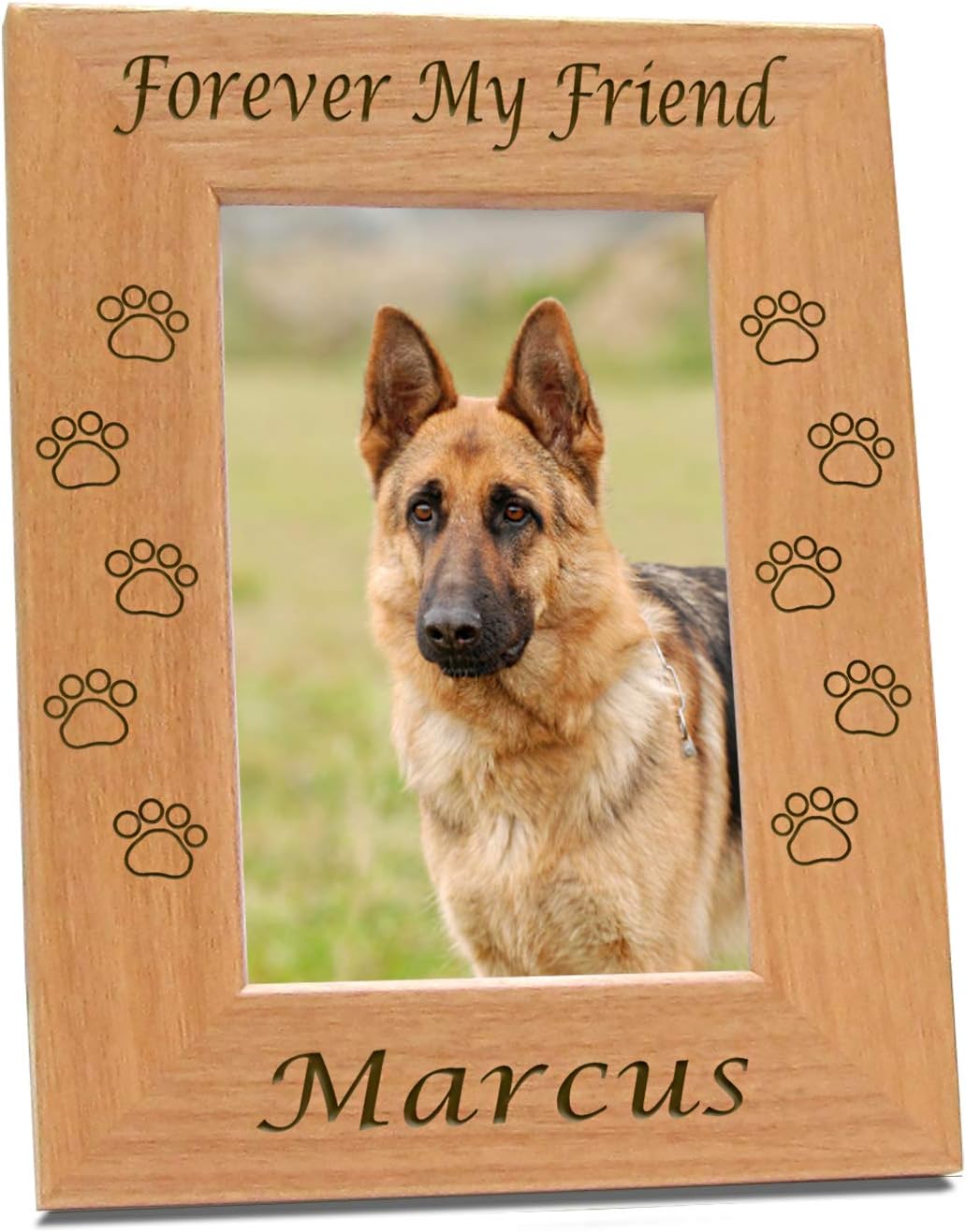 Etched In My Heart Pet Memory Frame