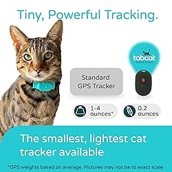 Tabcat V2 Cat & Kitten Tracker - More Accurate Than