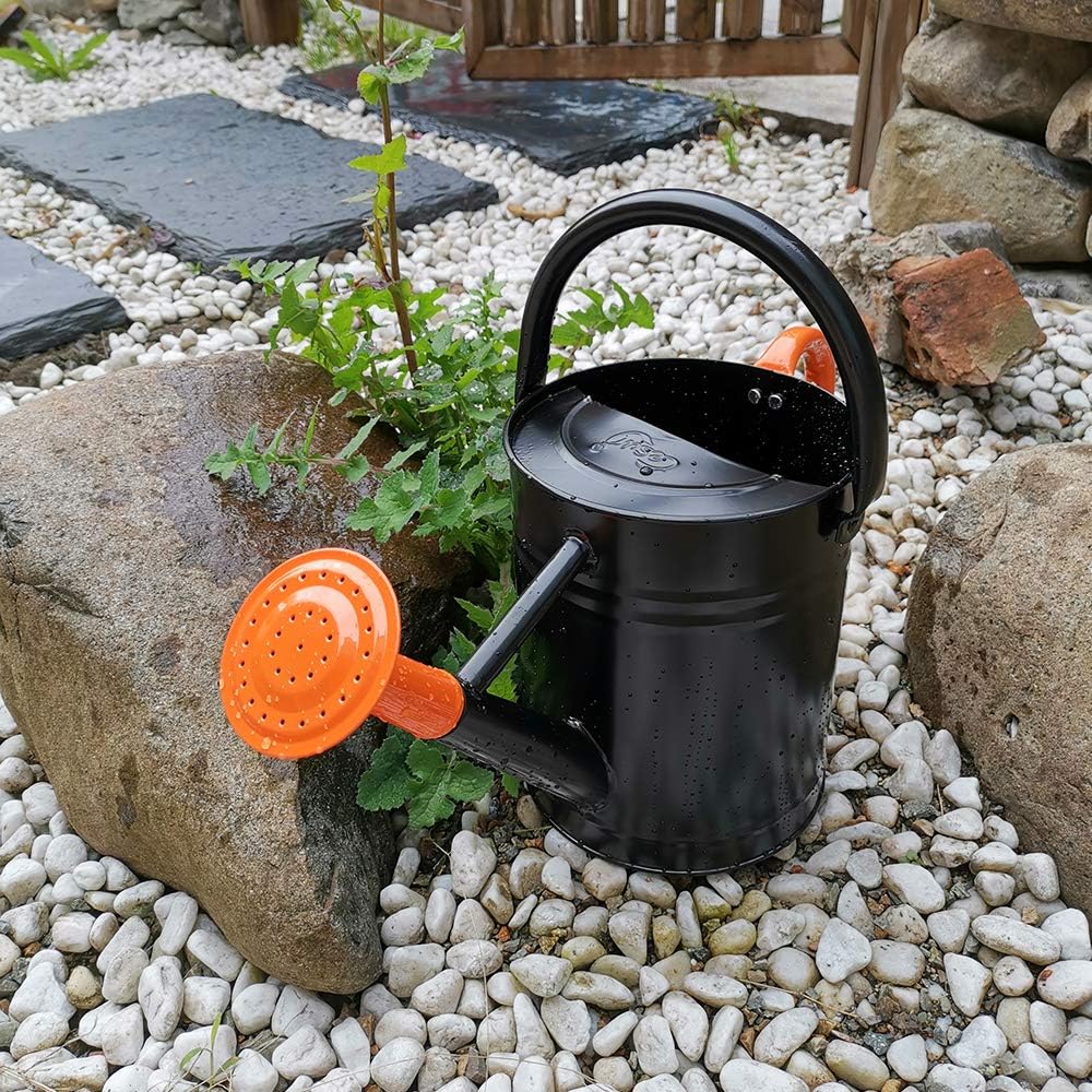 Cesun Metal Watering Can Galvanized Steel Watering Pot with Removable Spray Spout, Movable Upper Handle, Easy to Use for Outdoors Gardening, 1 Gallon-Baked Orange : Garden & Outdoor