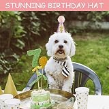 Fantasyon Dog Cat Birthday Hat with Bow Tie Pink Adjustable Reusable Party view 3