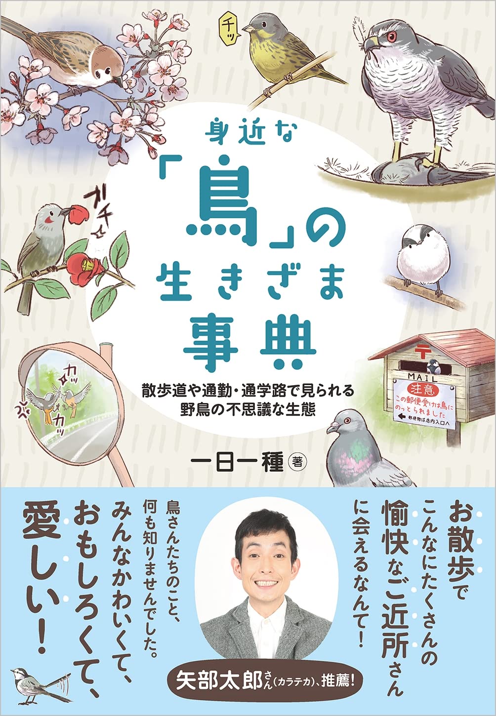身近な 鳥 の生きざま事典 散歩道や通勤 通学路で見られる野鳥の不思議な生態 一日一種 本 通販 Amazon