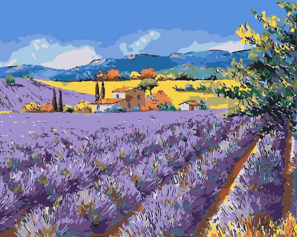 RGWSDJ DIY Paint by Numbers for Adults Beginner color drawing Lavender Manor Kids Birthday Gifts Home decor Living Pre-Printed Canvas 16X20inch frameless
