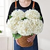 JINWOE Boho Silk Hydrangea Artificial Flowers, 5Pcs Cream 20Inch Large Lifelike Flowers,Artificial Hydrangeas for Indoor Bouquet Table Centerpieces Home Outdoor Wedding