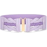 SANSTHS Vintage Stretchy Belt for Women, Womens Wide Elastic Belts for Dresses Coats, Fashion Womens Belts with Gold Buckle