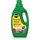 Miracle-Gro Pour & Feed Plant Food - Outdoor and Indoor Plant Fertilizer for Containers, Instantly Feeds, 32 fl. oz.
