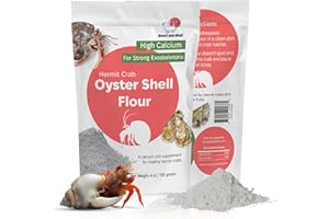 SNOUT AND SHELL Oyster Shell Supplement for Hermit Crabs – Natural Calcium Source for Molting Support – Auto Feeder Compatible – USA-Sourced Crushed Shell Powder for Stronger Exoskeletons and Shell Health