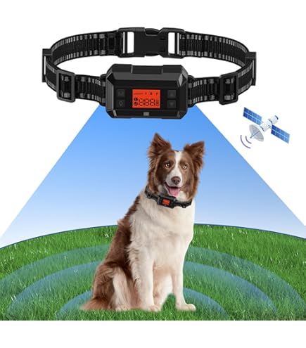 Amazon Invisible Dog Leash And Collar SLAYKAM Electric Fence For