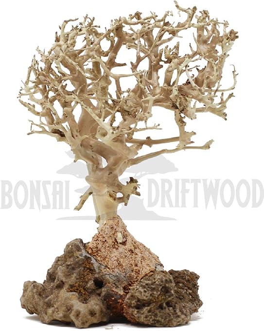 bonsai fish tank decorations