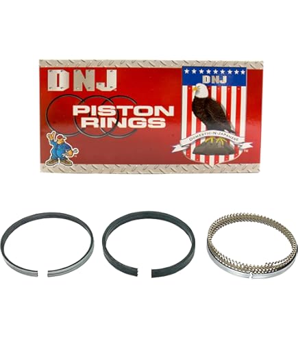 Amazon.com: DNJ PR534 STD Piston Rings for 2009-2013 / Suzuki