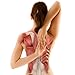 Prevent Back Pain: Exercises For A Correct Posture And A Strong Upper Back and Neck