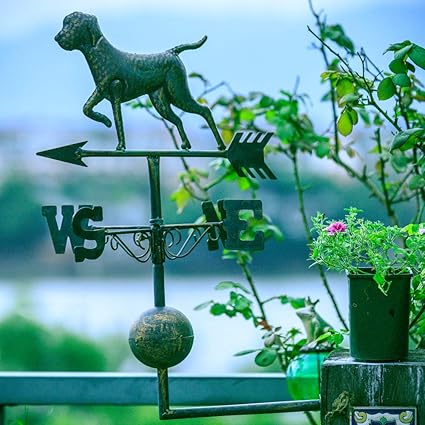 Zenggp Vieux Fer Forge Chien Et Chat Girouette Jardin Decoration Jardin Decoration Girouette B Amazon Fr Cuisine Maison