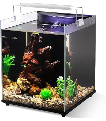 chi fish tank accessories Fluval Aquarium Kit with Energy-Efficient Filter & Lighting Only at PetSmart Soft Plastic Tube Baits REEL TYPE:PRO GEAR 541 454 440 540 brand:plano