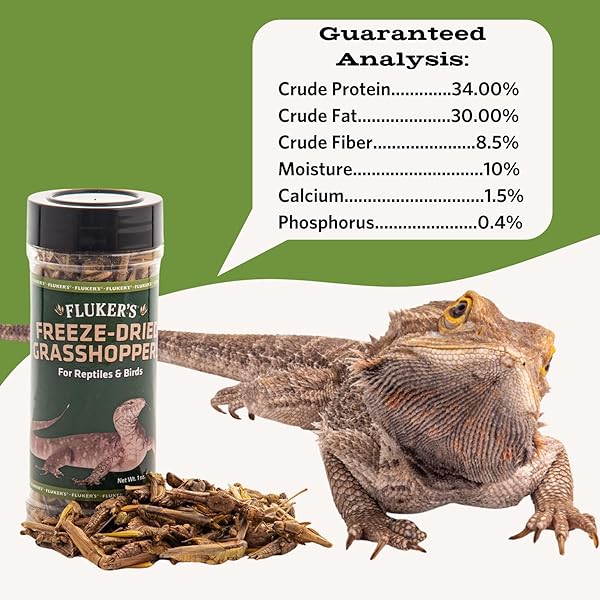 FLUKER’S FREEZE DRIED GRASSHOPPERS, NUTRIENT-PACKED, IDEAL FOR LIZARDS, REPTILES, BIRDS, FISH, HEDGEHOGS, 1.7 OZ