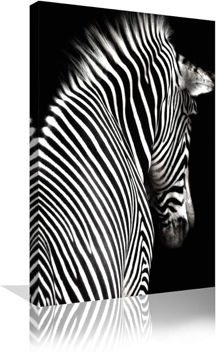 Amazon.com: Black and White Zebra Wall Art Animal Prints on Canvas