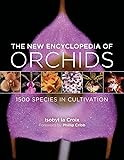 Amazon Com Orchids 9788854407657 Anna Maria Botticelli