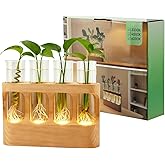 Rechargeable Plant Propagation Station with Wooden Stand,Desktop Terrarium Home Decor Dimmable LED Light 4 Glass Tubes Vases for Hydroponic Plants for Women