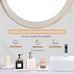 evory Set of 4 Water Absorbent Diatomite
