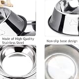 SUOXU Stainless Steel Dog Bowl with Anti Slip Base 580 ml Small Pet Feeder view 4