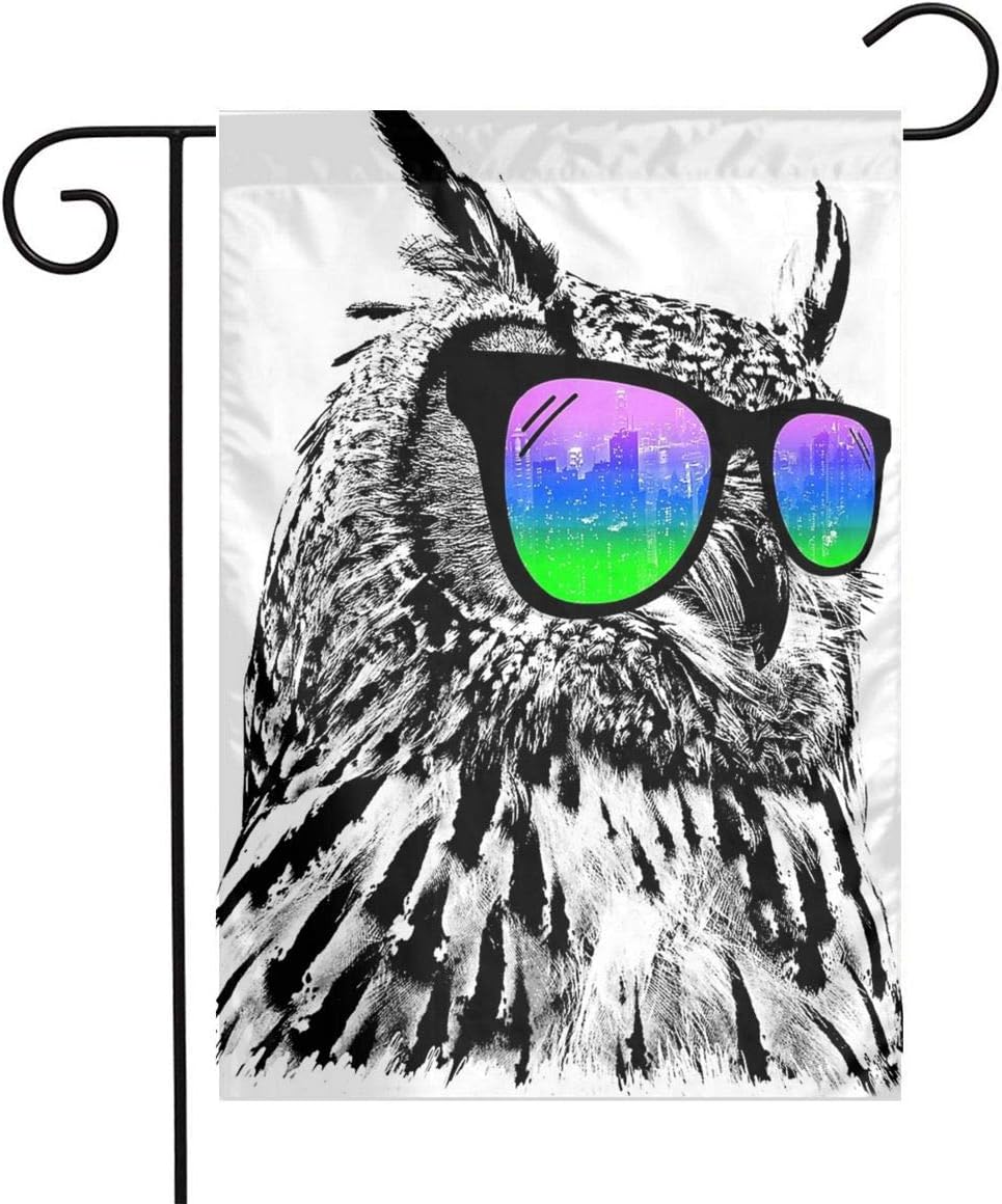 owl with sunglasses