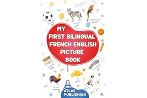 My first bilingual French English picture book: 500 words in the French language - A visual dictionary with illustrated words