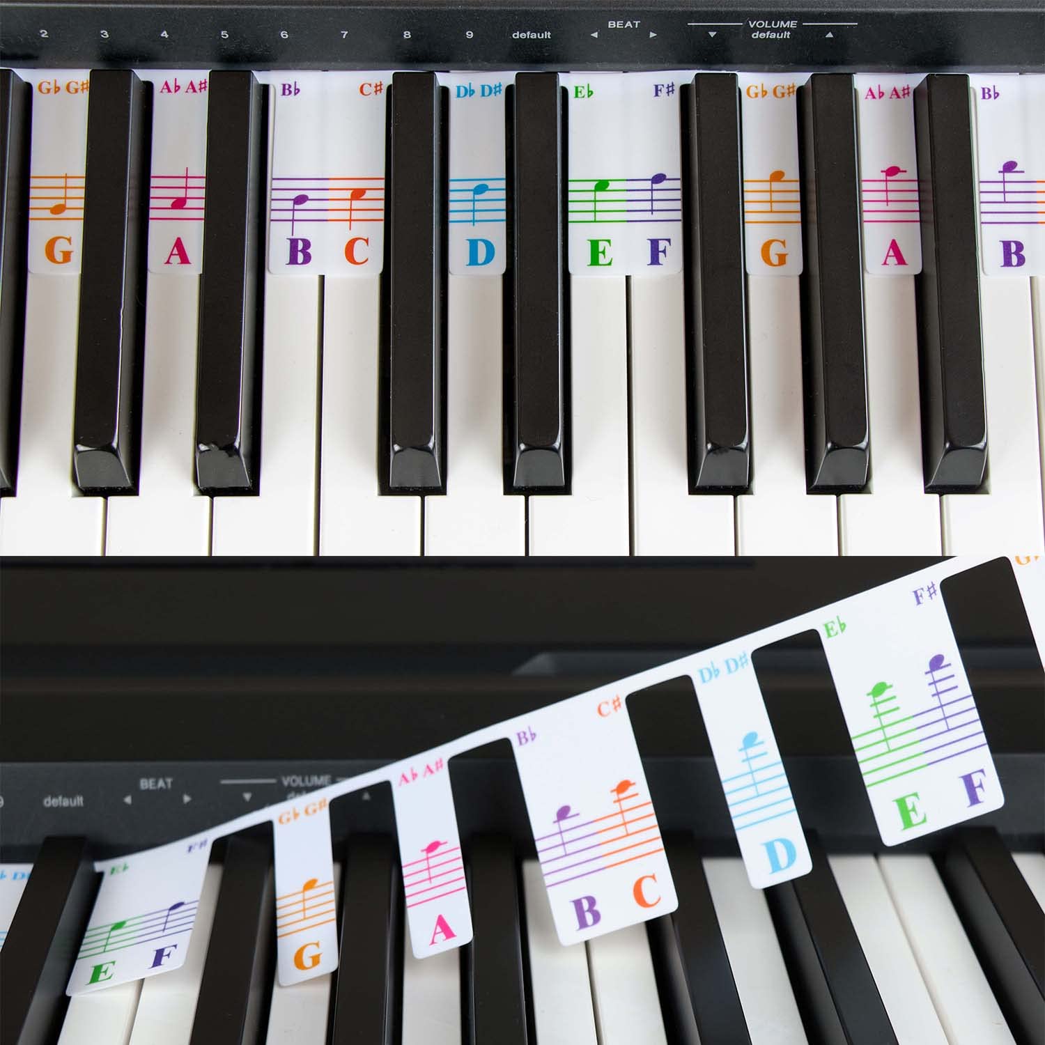 QMG Color-Coded Piano Keyboard Note Labels – Removable Learning Aid for 88-Key Full-Size Pianos & Keyboards – Reusable Practice Guide for Beginners, Students & Adults