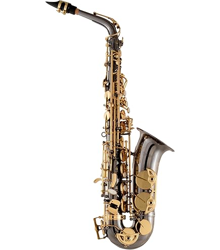 オーボエ　Selmer U.S.A Amazon.com: Selmer AS411 Intermediate Alto Saxophone - Black