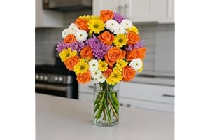 BloomsyBox – Radiant Delight Bouquet (Glass Vase Included) – Fresh Flowers for Delivery – Gift for Birthday, Anniversary, Get Well, Congratulations, Weeding