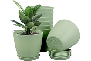 UOUZ 8Pack 4inch Small Nursery Plant Pots, Plastic Planters with Drainage Holes and Saucers for Indoor Seedlings, Succulents and Small Plants, Green