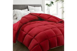 HYLEORY All Season Queen Size Bed Comforter - Cooling Goose Down Alternative Quilted Duvet Insert with Corner Tabs - Winter W