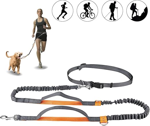 5ft dog leash