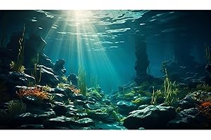 Riivvdise Aquarium Background Ocean Floor Fish Tank Background Underwater Coral Reef Stone Aquarium Backdrop Seaweed Background Sunlight Tank Backdrop Perfect Aquarium Backdrop Durable Vinyl 24x12in