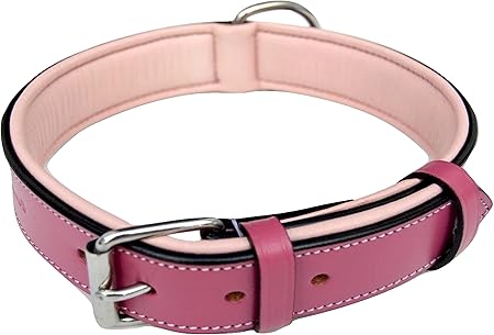 light pink dog collar