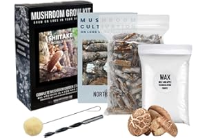 North Spore Organic Shiitake Outdoor Mushroom Log Growing Kit | Includes 100 ct. Bag of Plug Spawn | Complete Log Starter Kit with Instructions | Handmade in Maine, USA