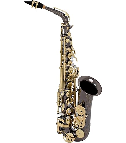 Amazon.com: Selmer AS411 Intermediate Alto Saxophone - Black