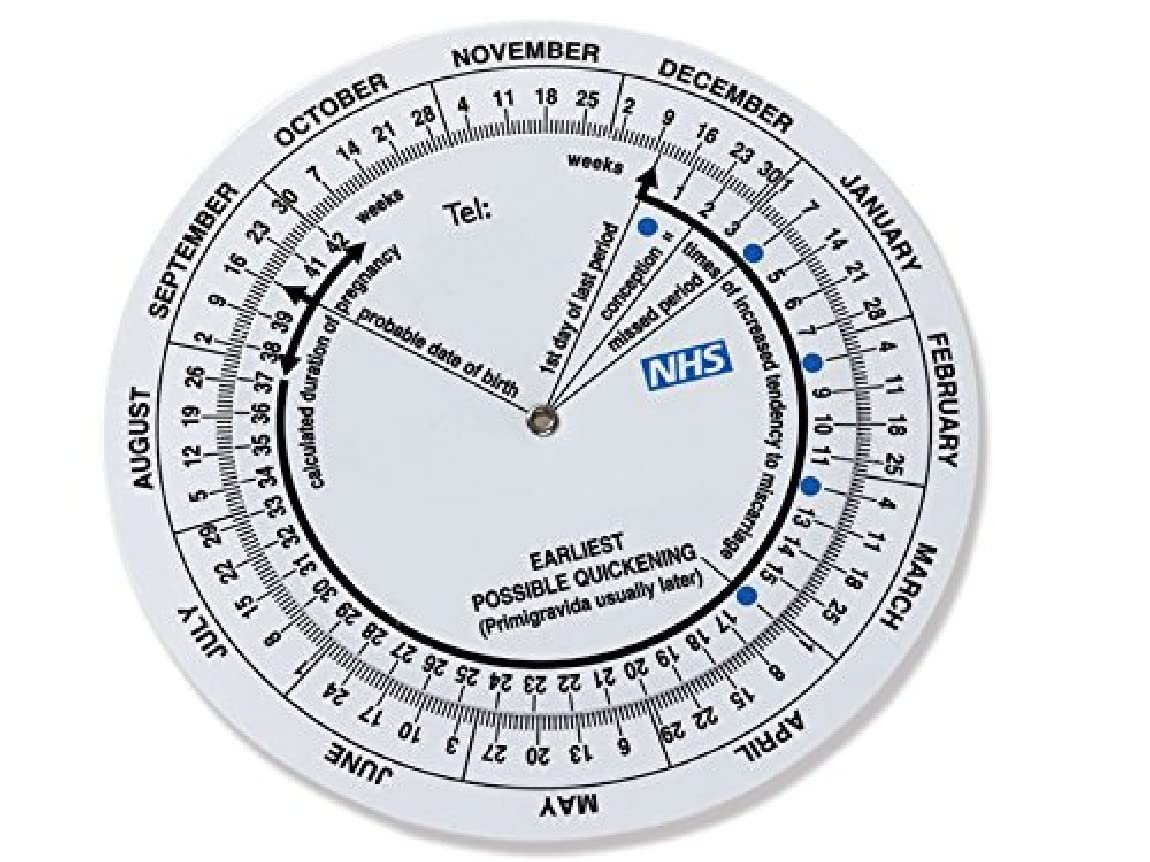 Gima 29099 Disc Pregnancy, Pack of 10