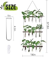 XXXFLOWER Wall Hanging Propagation Station with 15 Test Tubes view 2
