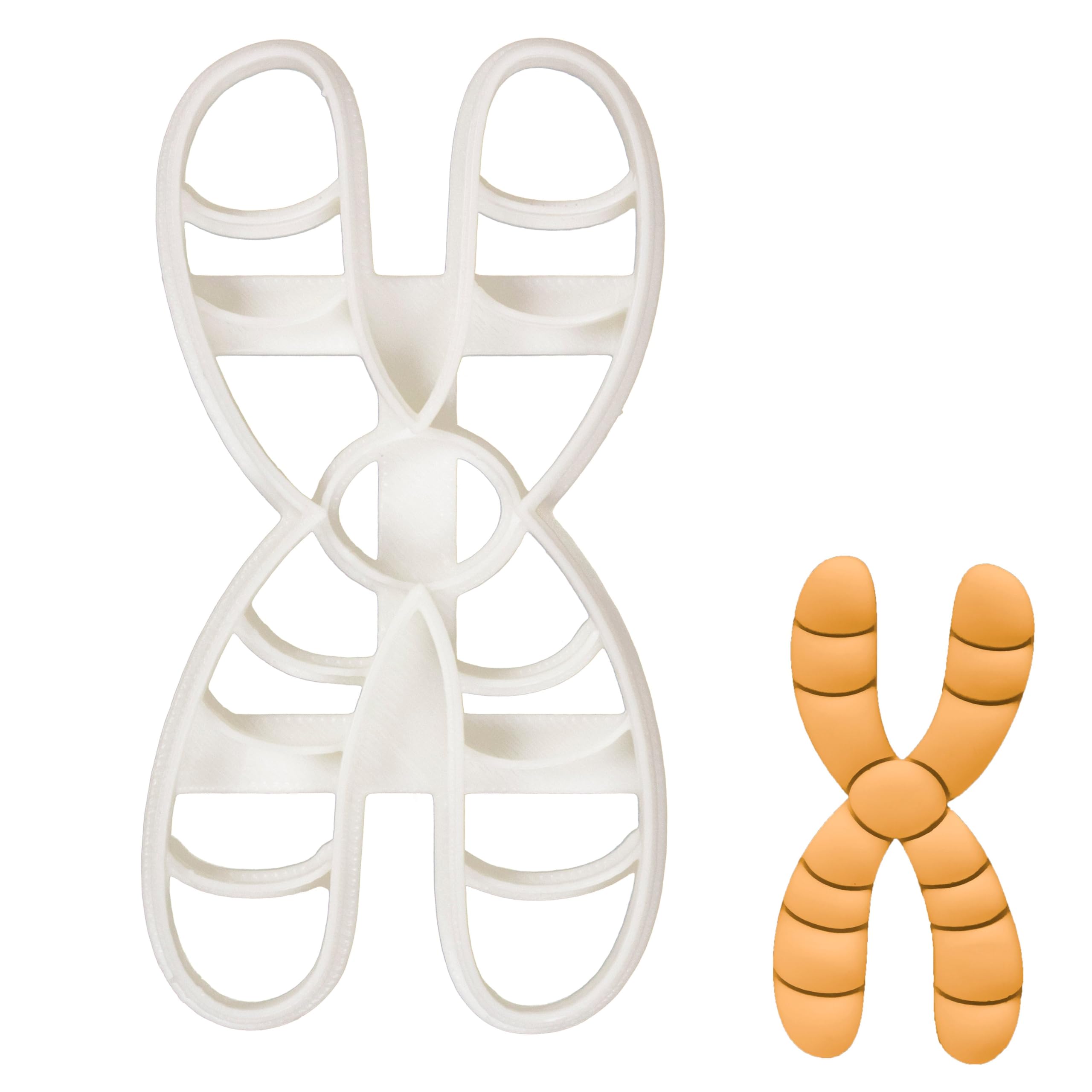 BAKERLOGY Chromosome Cookie Cutter - Detailed Biscuit Cutter Design for Baking and Crafts, Ideal on Fondant, Dough, Clay