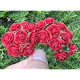 DUONGJAIS BRAND Handmade Mini Mulberry Paper Roses 18 mm Mulberry Paper Flowers Scrapbooking Wedding DIY Craft 50 pcs (Red Color)